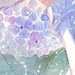 FFXI-学者猫